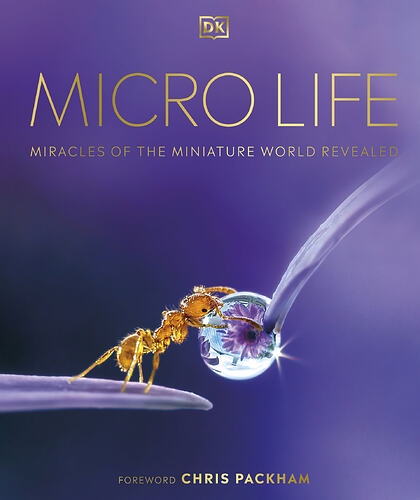 DK - Micro Life_ Miracles of the Miniature World Revealed (2021, DK) - libgen.li_1-gigapixel-standard-scale-2_00x