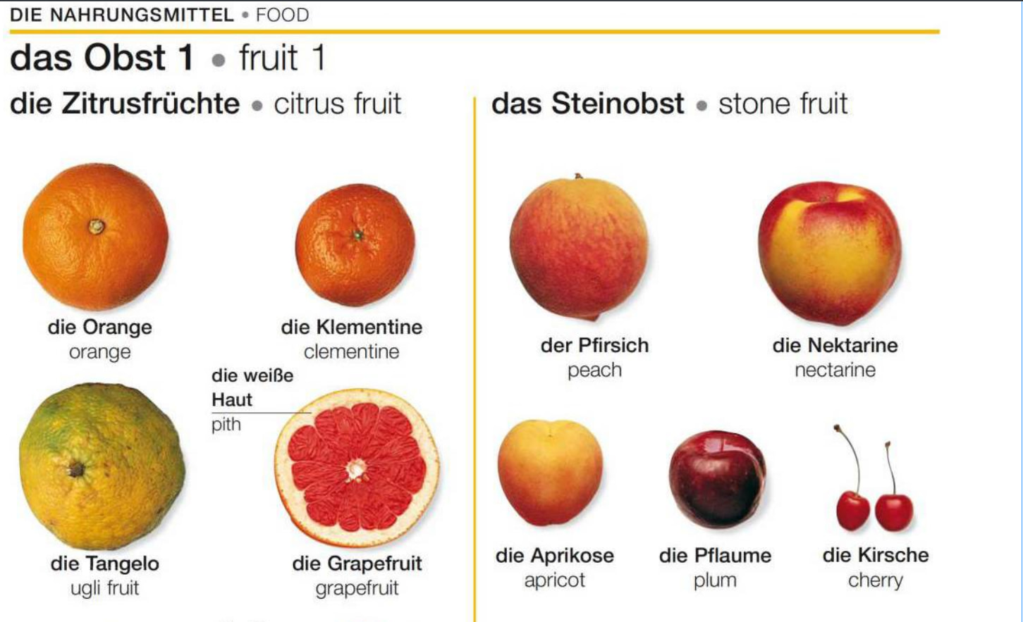 dk-german-english-bilingual-visual-dictionary-freemdict-forum